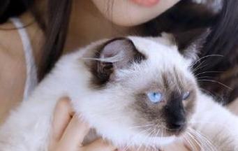 推女神 – 俏皮又可爱的谭晓彤少女写真，完美套图演绎青春的无限可能！
