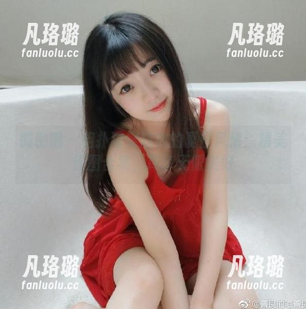 微密圈 - 相扑猫穿旗袍的夏日风情：精美原图合集，尽享无限美好
